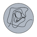 Objawy senne i rytmu dobowego (45% kobiet tego doświadcza)