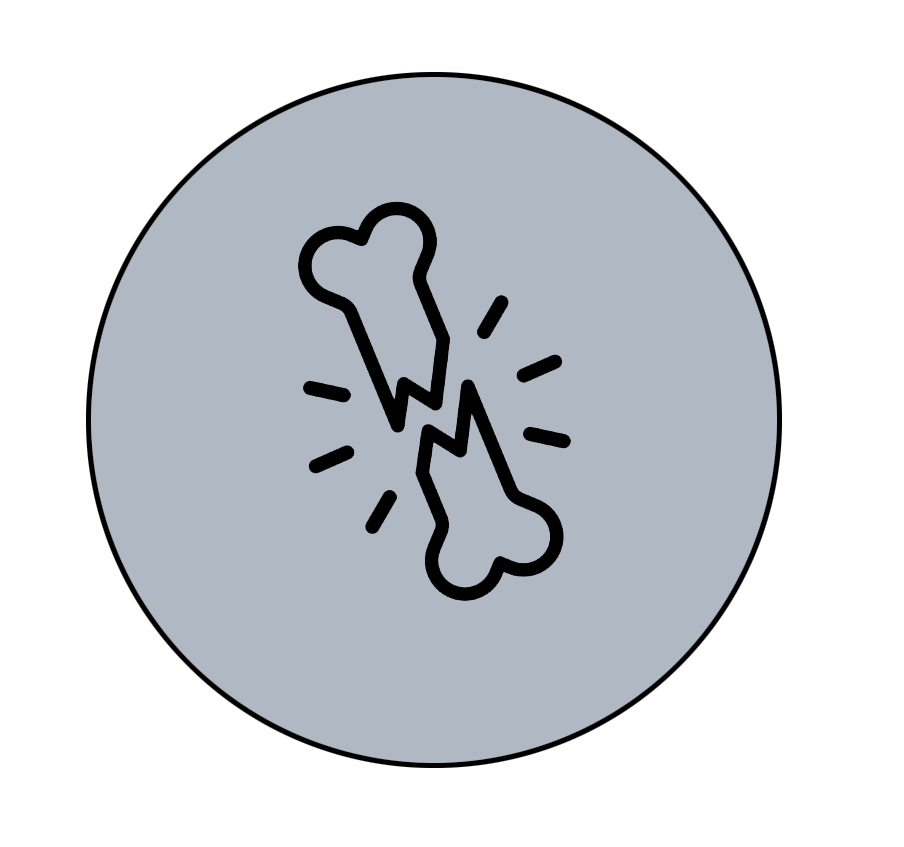 KOŚCI - OSTEOPOROZA W MENOPAUZIE