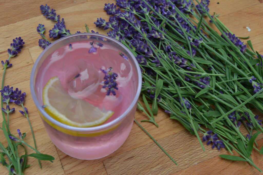 lemoniada z lawendy i cytryny przepis